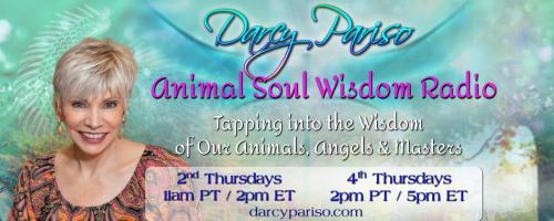 Animal Soul Wisdom Radio: Tapping into the Wisdom of Our Animals, Angels and Masters with Darcy Pariso : Animal Reiki with Kathleen Prasad!