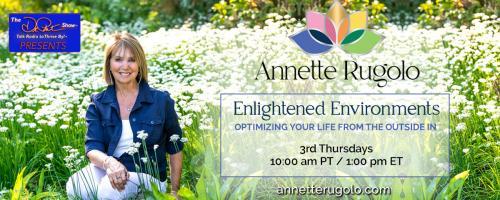 Enlightened Environments with Annette Rugolo: Optimizing Your Life From the Outside In: The Energies Depleting You in Your Environment