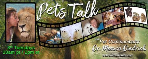 The Pet Communicator Show with Dr. Monica Diedrich: Having a Routine with Your Pets